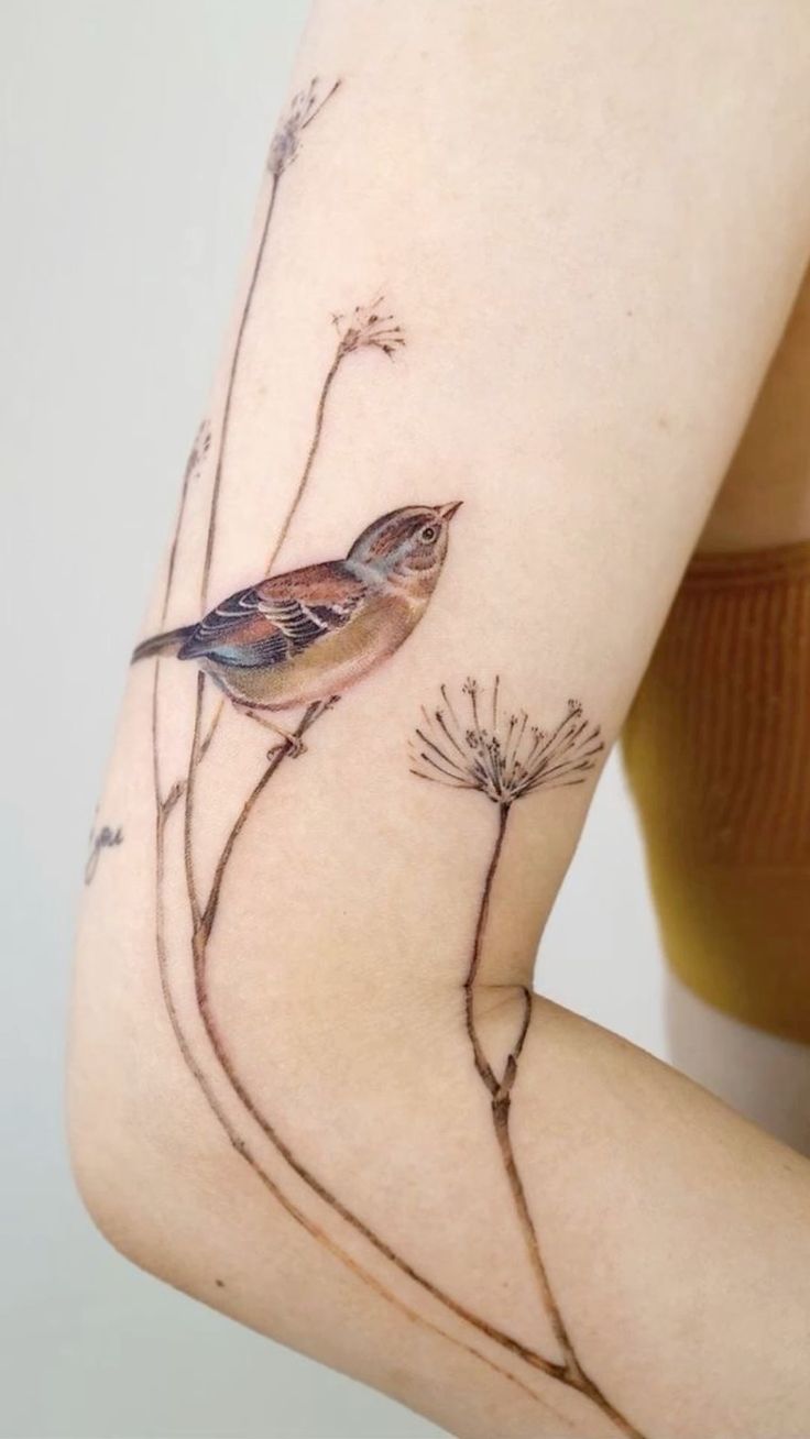 29 Sparrow Tattoo Ideas : Traditional, Men Arm and Hand Designs, Meaningful Bird Tattoos