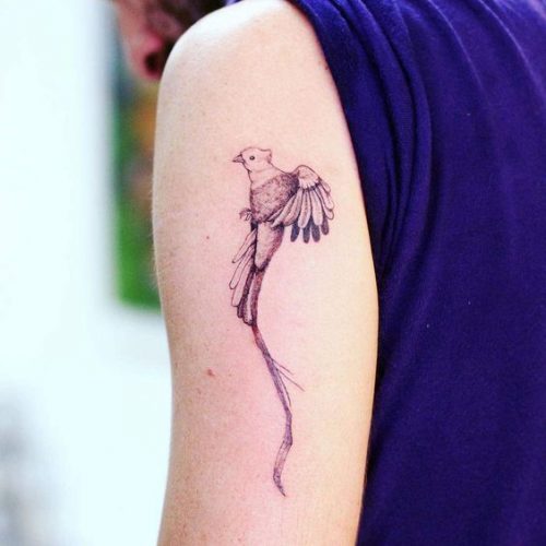 Explore 20 Captivating Quetzal Tattoo Designs for a Vibrant Ink Inspiration