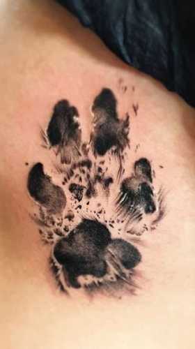 23 Girl’s Tiger Tattoo Ideas