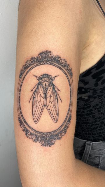 29 Cicada Tattoo Ideas: From Simple Linework to Lush Color