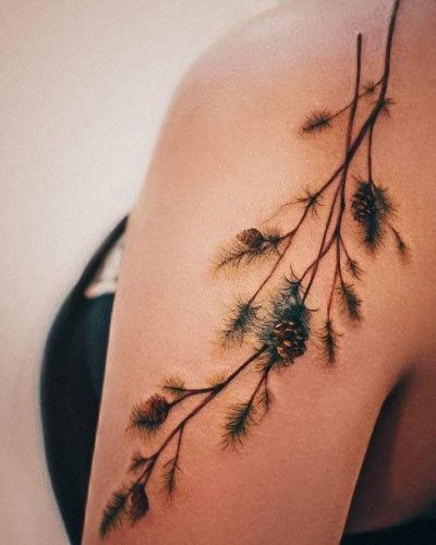 Explore 20 Unique Tree Tattoo Designs for : Symbolism & Artistry in Nature-Inspired Tattoos