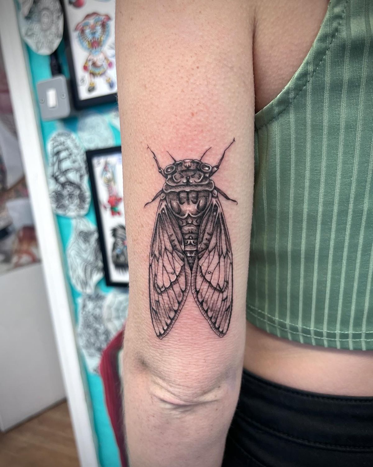 29 Cicada Tattoo Ideas: From Simple Linework to Lush Color