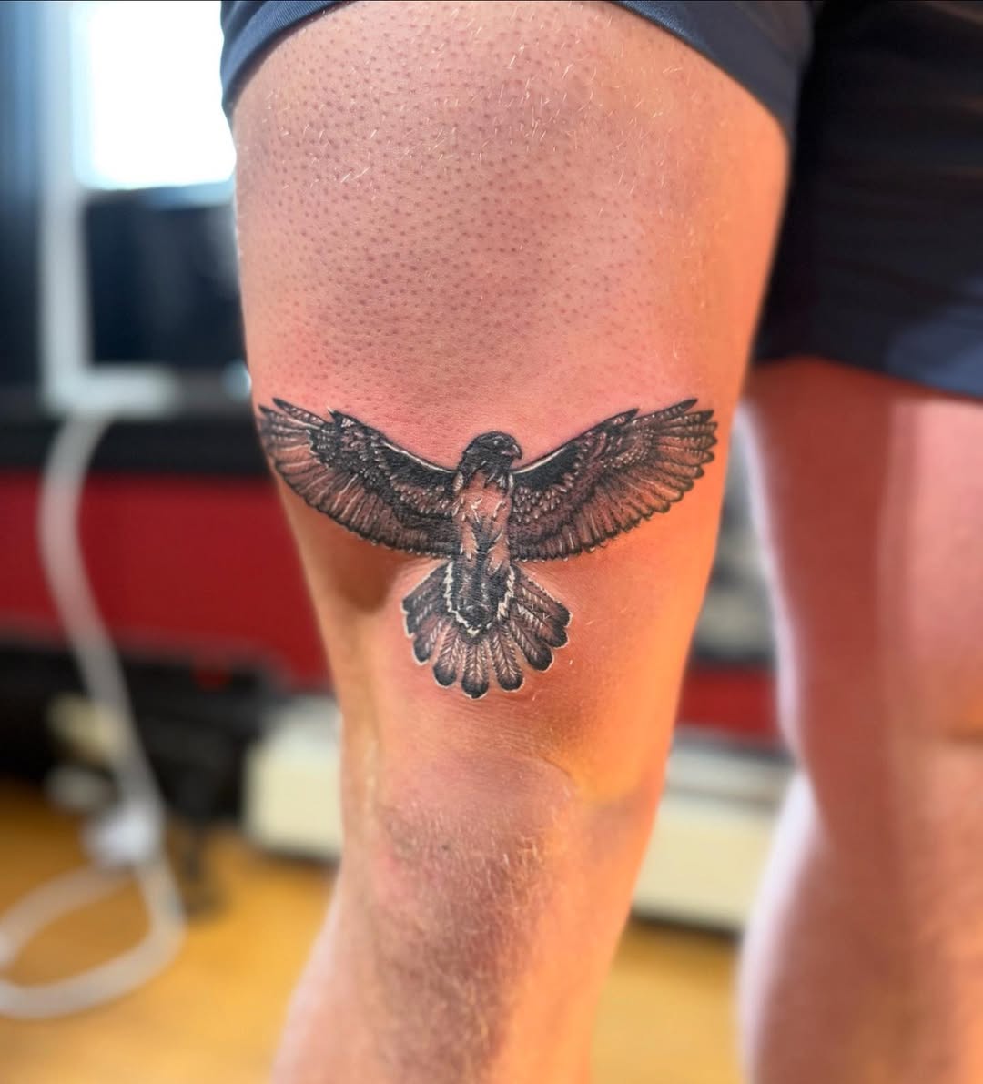 29 Hawk Tattoo Ideas: Bold Designs That Capture Power and Freedom