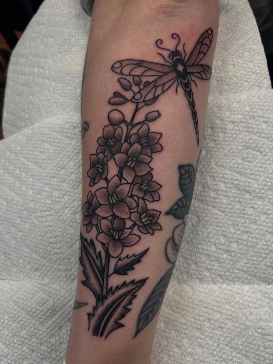 28 Larkspur Tattoo Ideas: Delicate July Blooms with Big Meaning