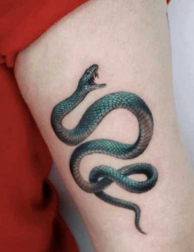 25 Ideas Embracing Color in Snake Tattoo Designs