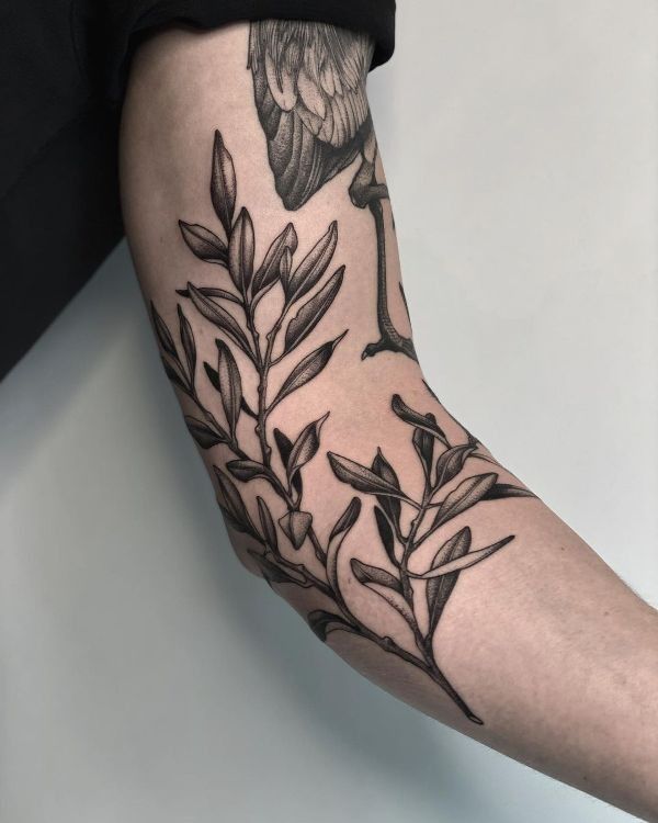 26 Olive Branch Tattoo Ideas : Fine Line, Arm Wrap, Minimal, American Traditional Designs