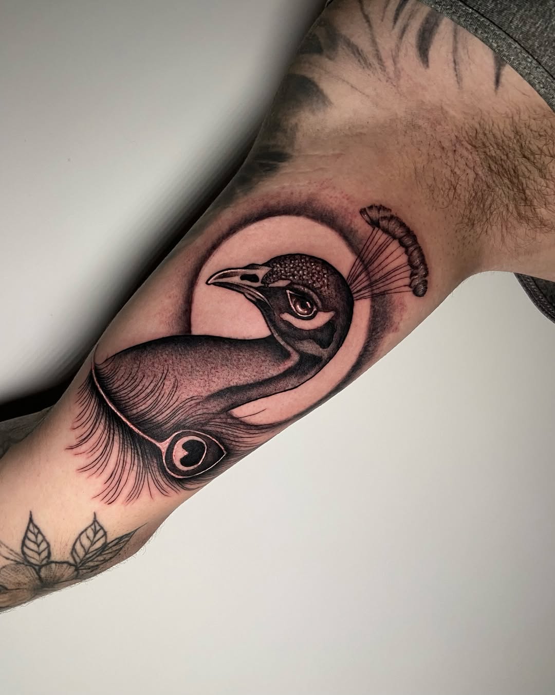 The Symbolic Splendor of Peacock Tattoos: Powerful Designs That Speak for Themselves