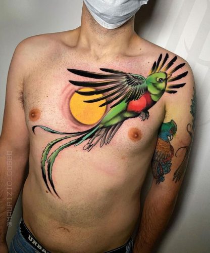 Explore 20 Captivating Quetzal Tattoo Designs for a Vibrant Ink Inspiration