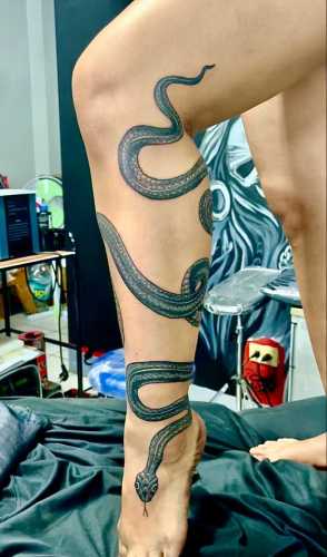 30 Exploring the World of Snake Tattoo Art