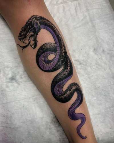 25 Ideas Embracing Color in Snake Tattoo Designs