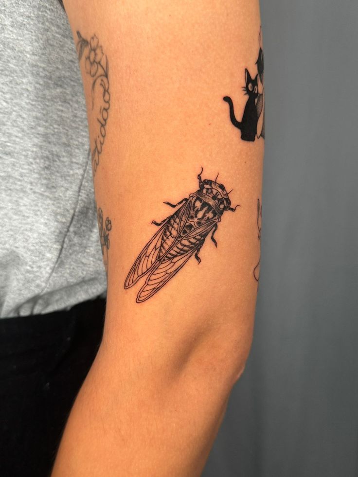 29 Cicada Tattoo Ideas: From Simple Linework to Lush Color