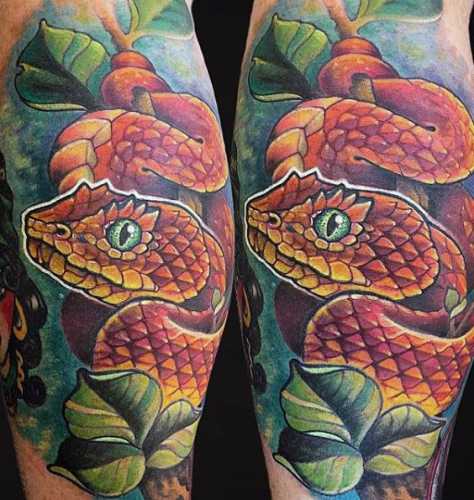 25 Ideas Embracing Color in Snake Tattoo Designs