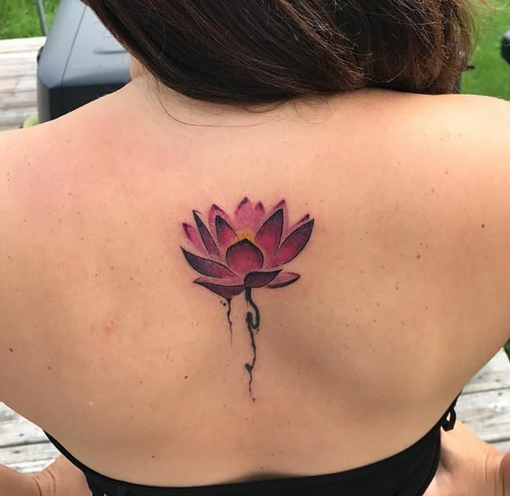 30 Creative Water Lily Tattoos for : Tattoos with Special Meanings