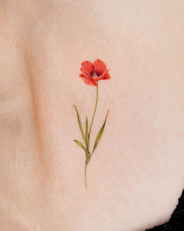 28 Poppy Tattoo Ideas for Women & Men Fine Line, Traditional, Minimalist & Bold Red Floral Designs