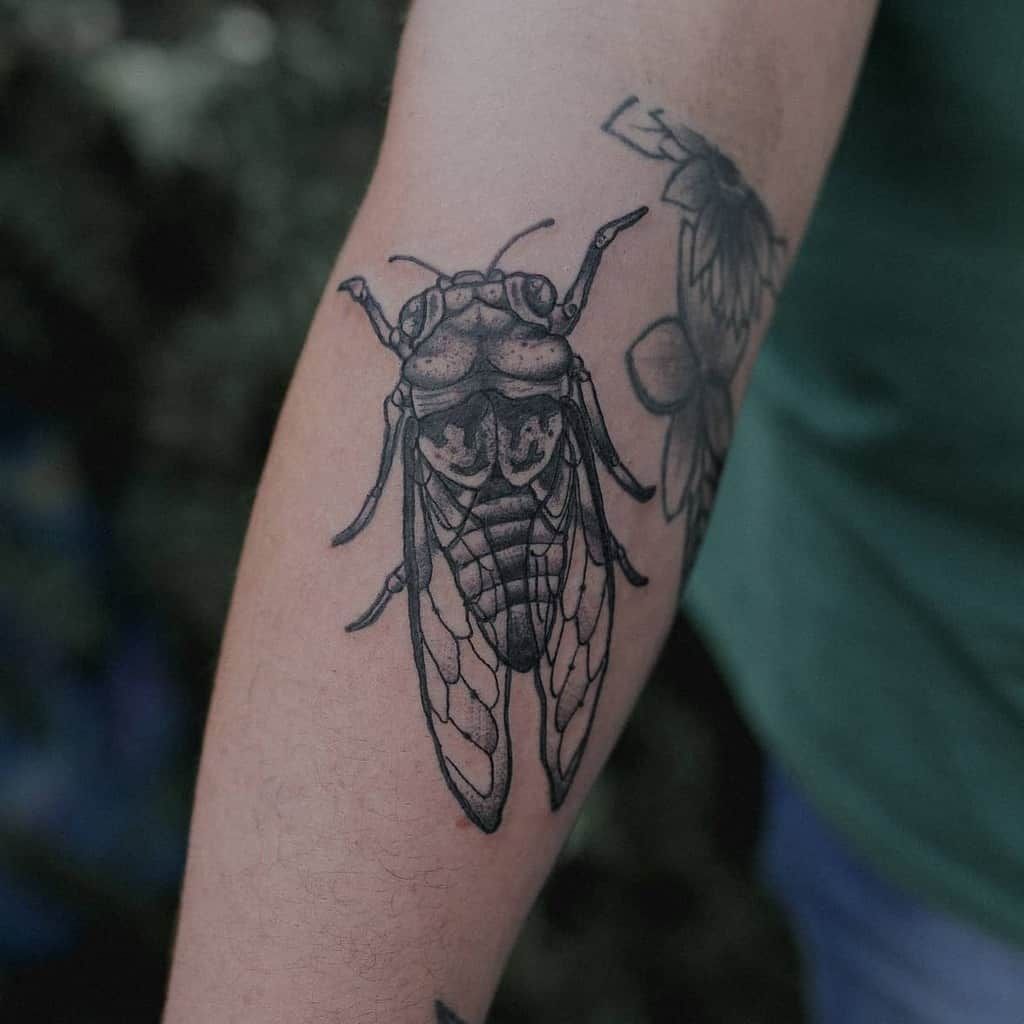 29 Cicada Tattoo Ideas: From Simple Linework to Lush Color