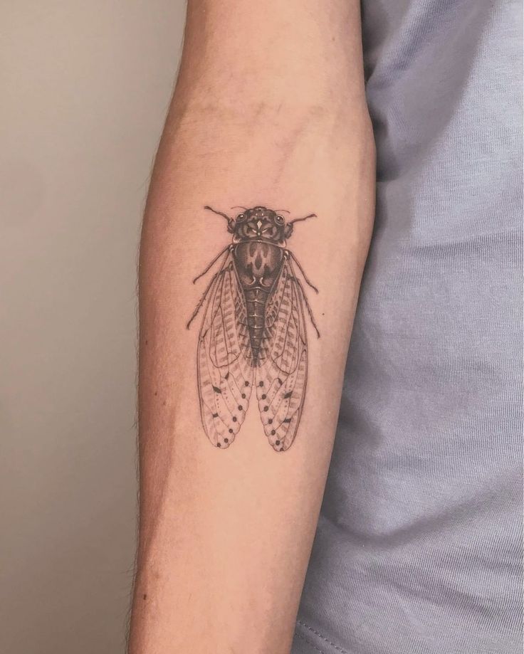 29 Cicada Tattoo Ideas: From Simple Linework to Lush Color