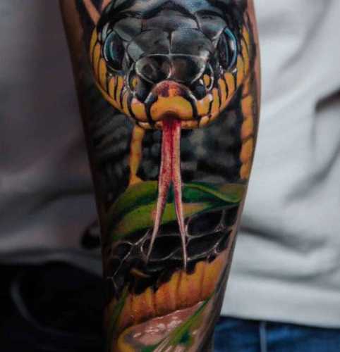 29 Mesmerizing Snake Tattoo Design Ideas