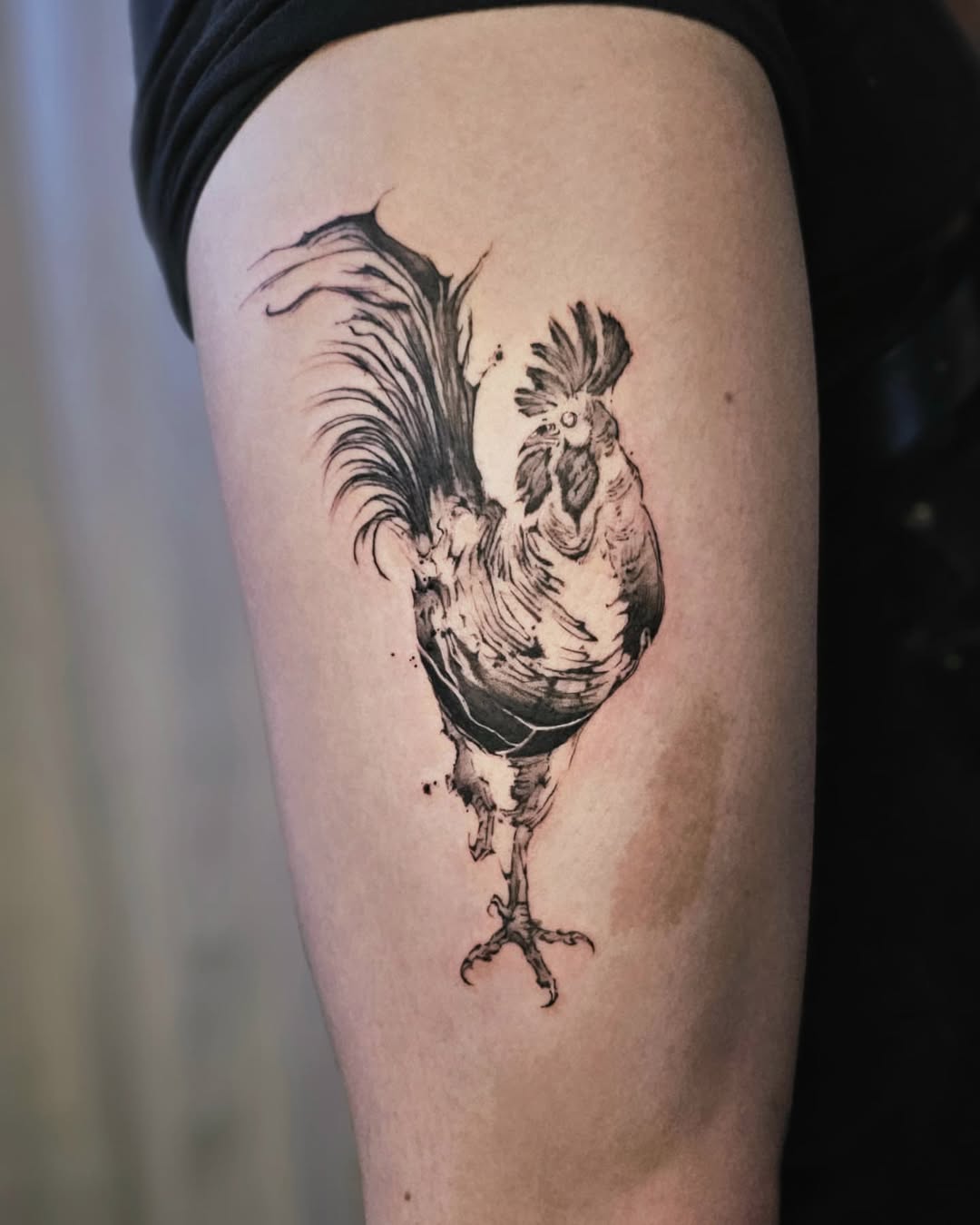 30 Rooster Tattoo Ideas: Bold Traditional and Modern Designs for Men and Women