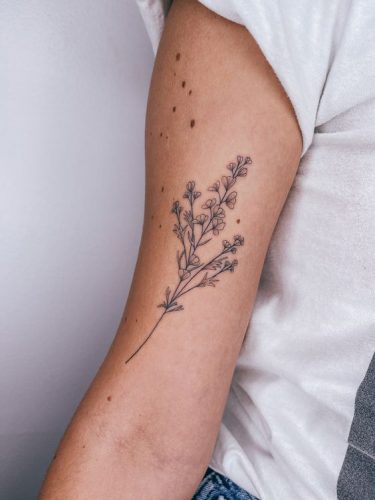 Unveiling July’s Splendor: A Journey Through ’s 19 Top Tattoo Inspirations