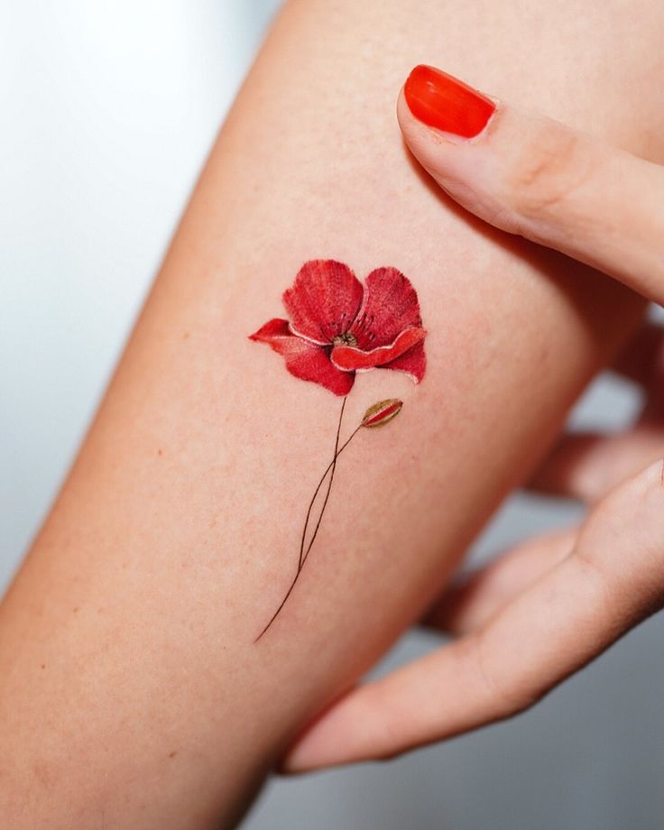 28 Poppy Tattoo Ideas for Women & Men Fine Line, Traditional, Minimalist & Bold Red Floral Designs
