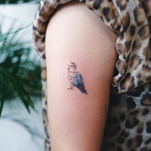 17 Small Pet Tattoo Ideas