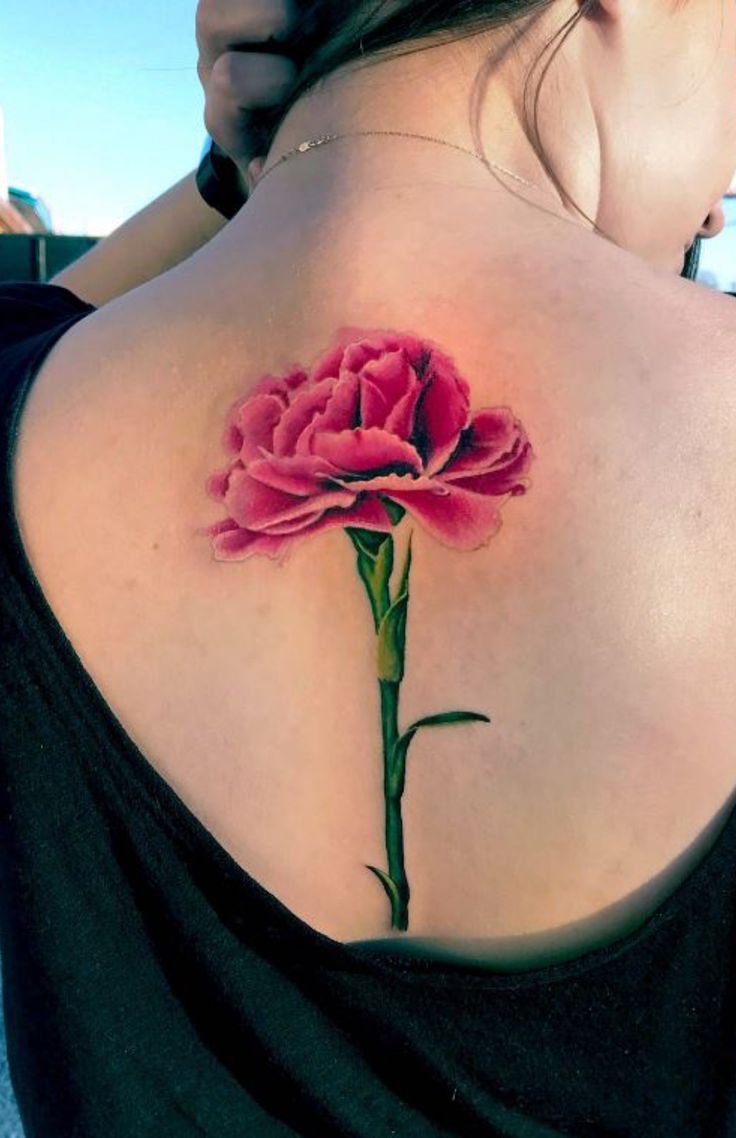 25 Carnation Tattoo Ideas : Traditional Designs for Women, Shoulder, Sleeve, Ankle & More