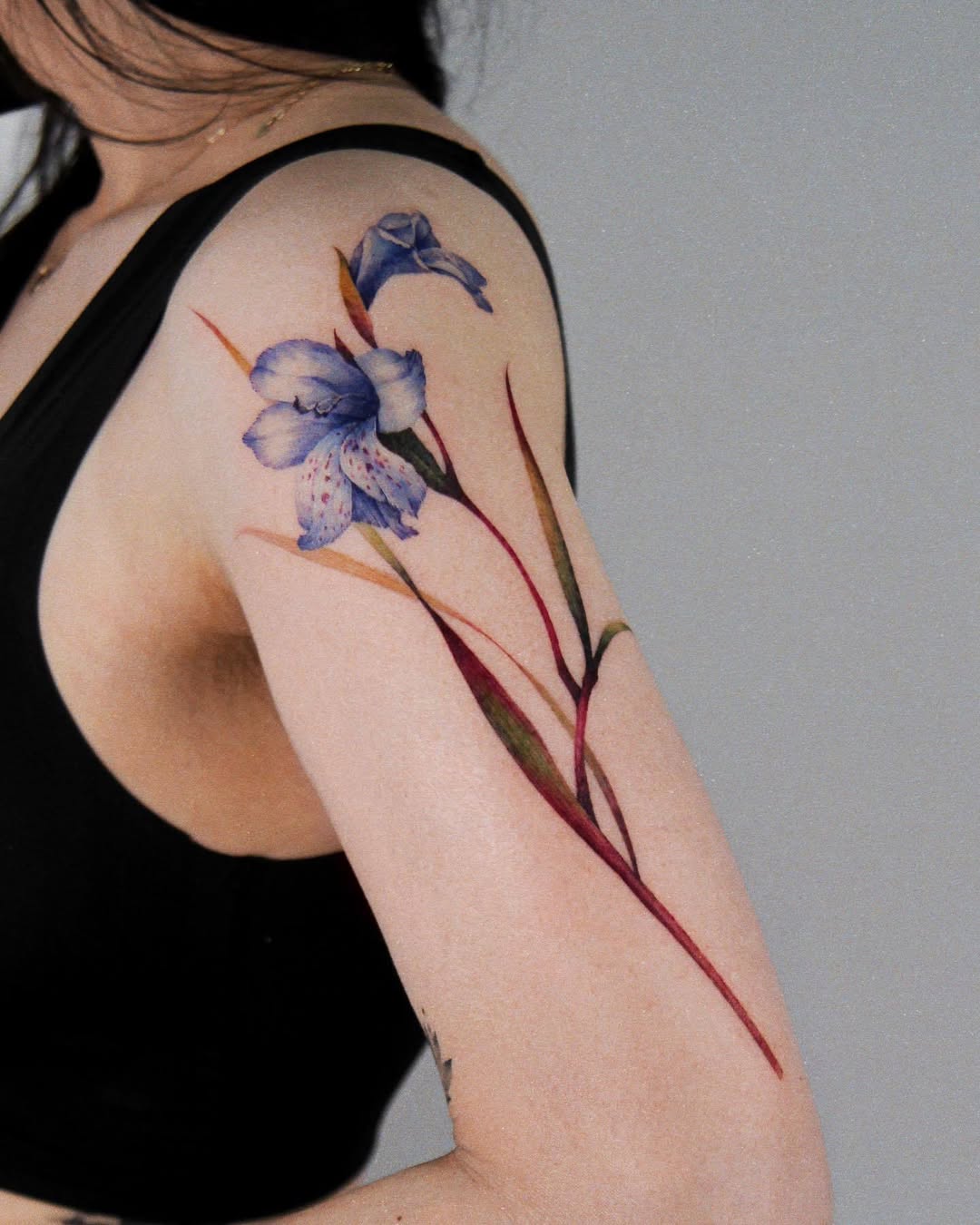 25 Gladiolus Tattoo Ideas with Simple Designs, Fine Line, Color and More