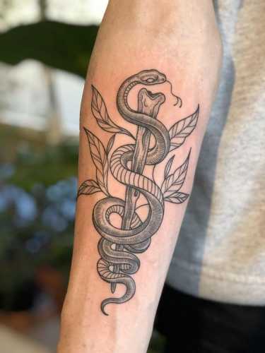 30 Exploring the World of Snake Tattoo Art