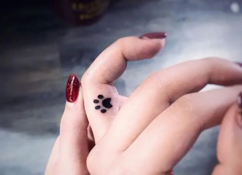 23 Minimalist Cat Tattoo Ideas