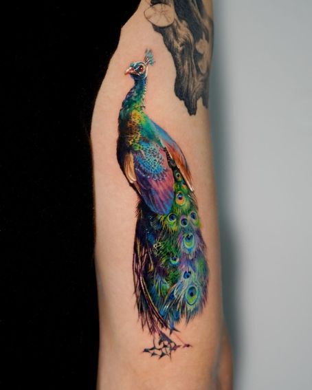 The Symbolic Splendor of Peacock Tattoos: Powerful Designs That Speak for Themselves