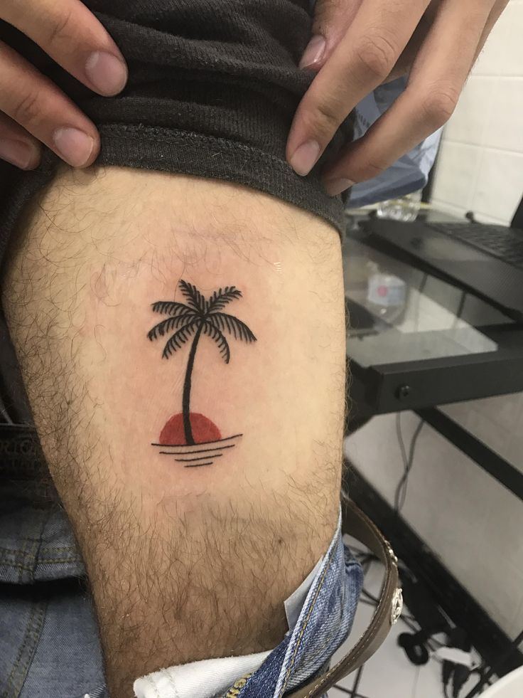 25 Palm Tree Tattoo Ideas for Women and Men Minimalist, Traditional, Forearm & Tropical Design Inspiration