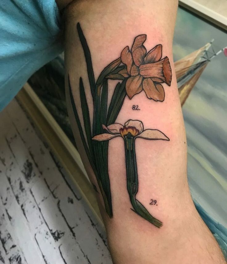 30 Daffodil Tattoo Ideas : Fine Line, Traditional with Name, Birth Flower &#038; Neotraditional Design