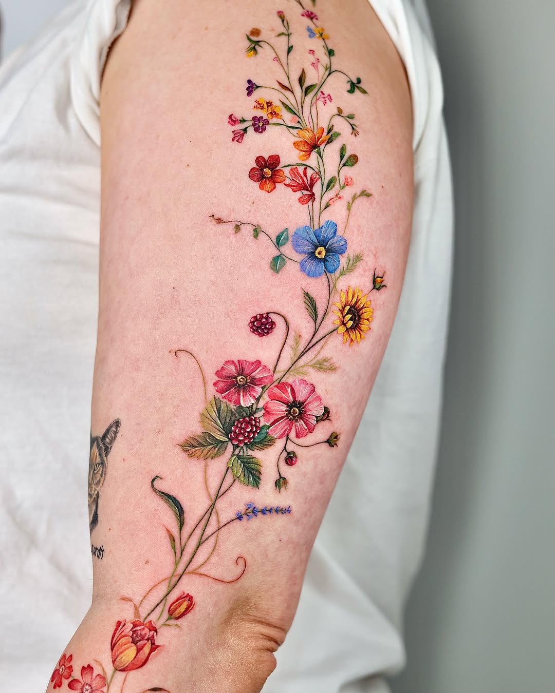 25 Vine Tattoo Designs for Women and Men Sleeve, Arm, Shoulder, Traditional, Wrap Around Ideas