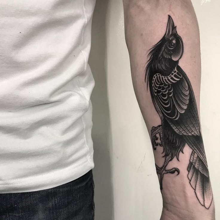 28 Unique Crow Tattoo Ideas Blackwork, Traditional, Flying, Viking, Sleeve, and Minimalist Designs