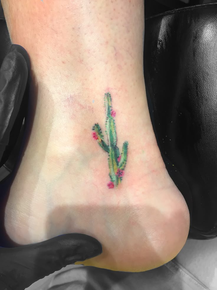 25 Cactus Tattoo Ideas : Creative, Minimalist, Traditional, and Realistic Designs for Women and Men