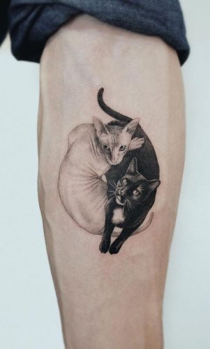 24 Cat Portrait Tattoo Ideas