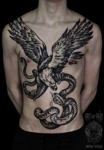 17 Explore Snake Tattoo Traditional Designs