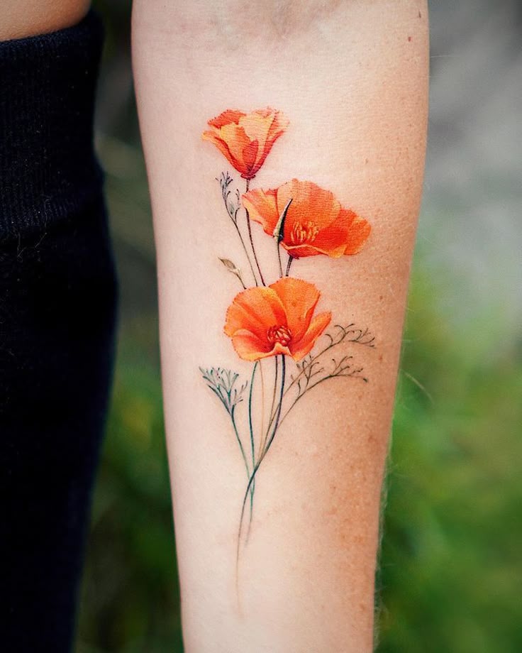 28 Poppy Tattoo Ideas for Women & Men Fine Line, Traditional, Minimalist & Bold Red Floral Designs