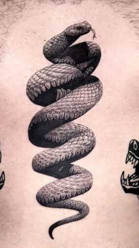 13 Snake Tattoo Ribs Ideas for Striking Art