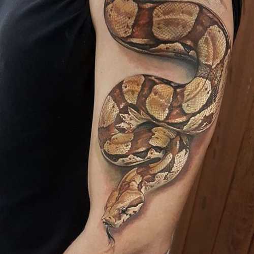 25 Ideas Embracing Color in Snake Tattoo Designs