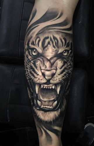 25 Tiger Tattoo on Forearm Ideas