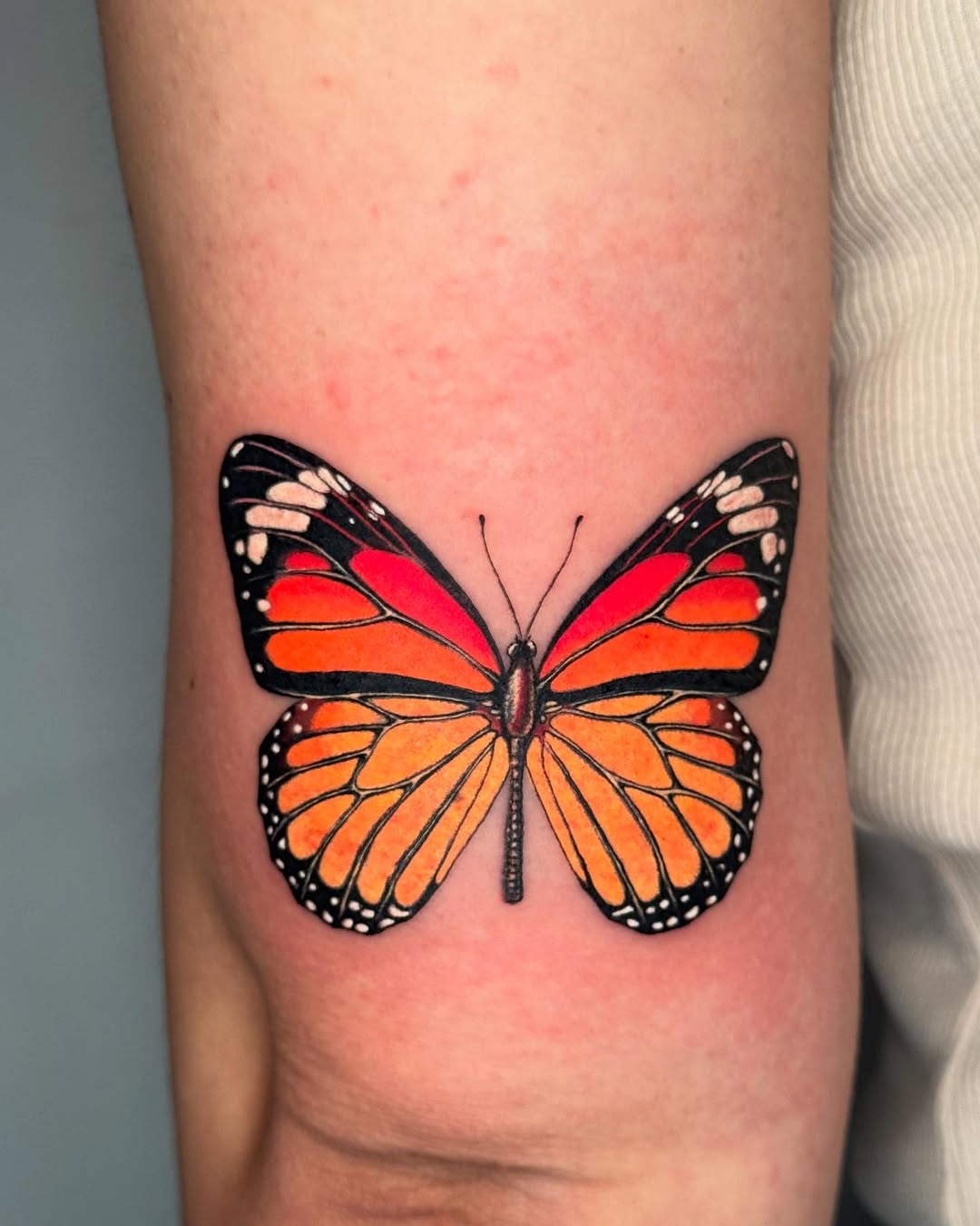 30 Monarch Butterfly Tattoo Ideas: From Tiny Symbols to Storytelling Sleeves