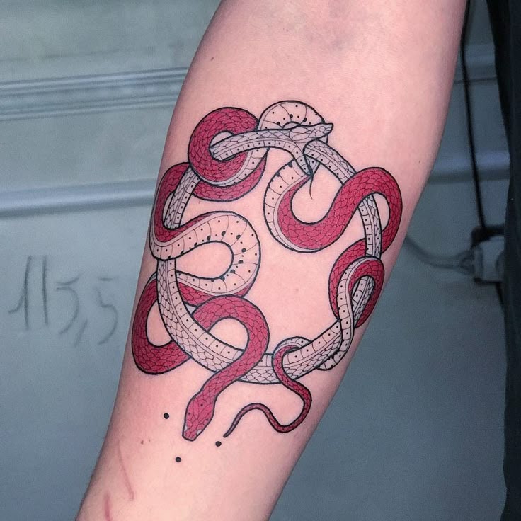 25 Ouroboros Tattoo Ideas : Minimalist, Dragon, FMAB &#038; Traditional Snake Designs