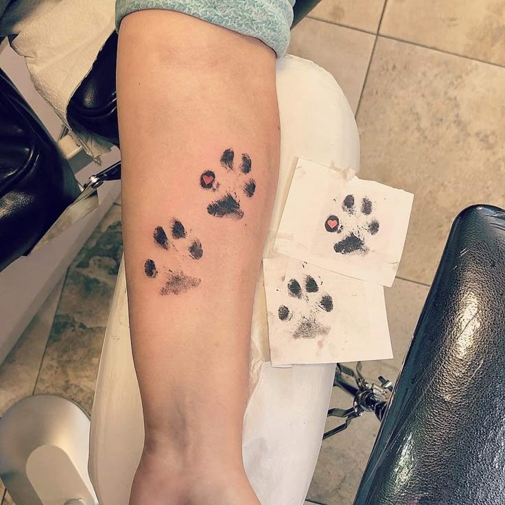 28 Paw Print Tattoo Ideas for Dog & Cat Lovers Memorial, Floral, Watercolor, Fine Line