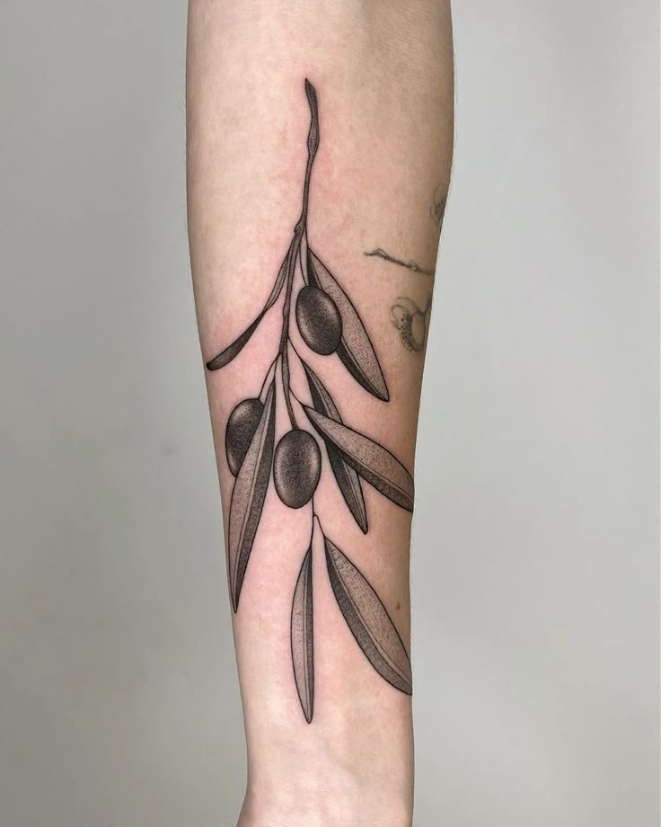 26 Olive Branch Tattoo Ideas : Fine Line, Arm Wrap, Minimal, American Traditional Designs