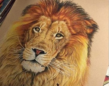 Vibrant and Striking: 19 Lion Tattoo with Color Ideas