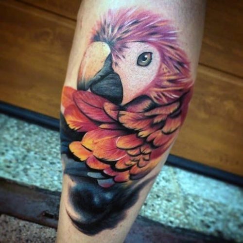 Take Flight: 20 Bird Tattoo Ideas for Men