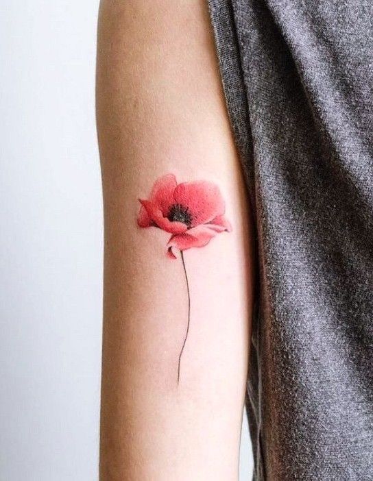 28 Poppy Tattoo Ideas for Women & Men Fine Line, Traditional, Minimalist & Bold Red Floral Designs