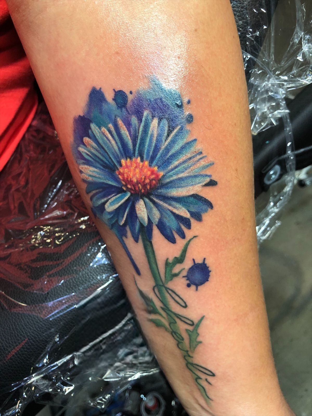 25 September Birth Flower Tattoo Ideas : Aster Designs with Name, Color, Spine, and Memorial Ink Styles
