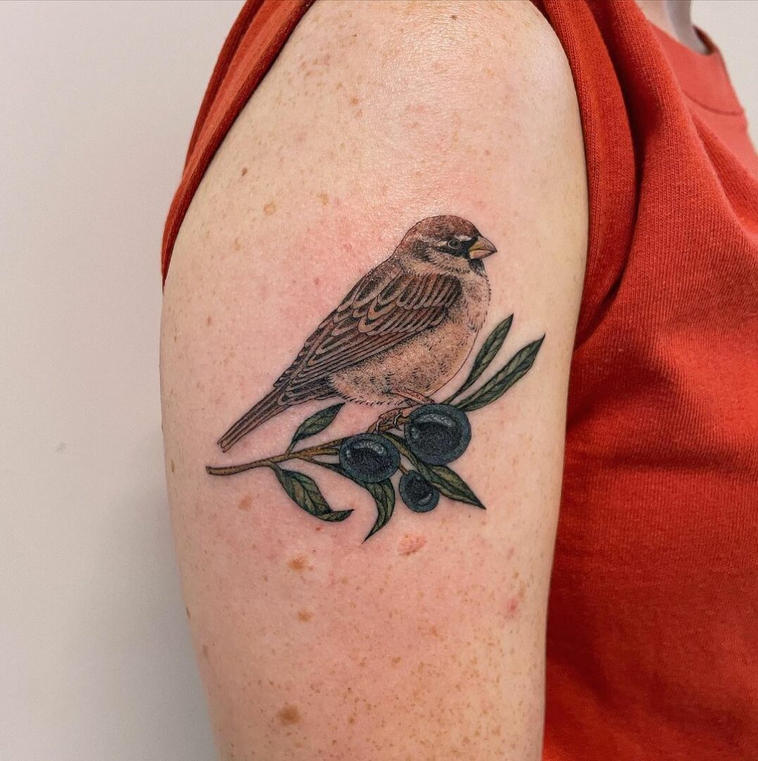 29 Sparrow Tattoo Ideas : Traditional, Men Arm and Hand Designs, Meaningful Bird Tattoos